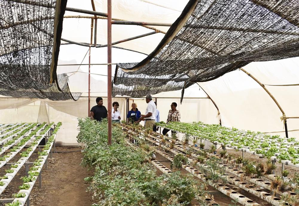 São Vicente: Disponibilização de água para a agricultura é uma das principais prioridades
