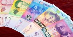 Criação de Empresas Online Gratuita por Três Meses