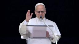 Papa Leão XIV: Um Ano de Pontificado em Confronto com Trump