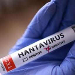 MV Hondius: Seis casos de hantavírus confirmados até ao momento