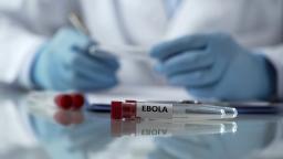 OMS declara emergência de saúde pública mundial devido a surto de ébola