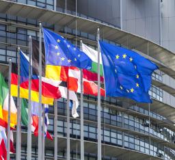 Eurodeputados aprovam novas regras para expulsão de migrantes em situação irregular