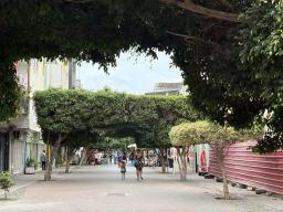 HUAN realiza Feira de Saúde Infantil na Rua Pedonal do Plateau
