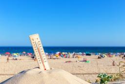 Onda de calor de Junho afetou 410 milhões de pessoas na Europa