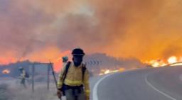 Doze mortos em incêndio na Andaluzia: "Tragédia sem precedentes"