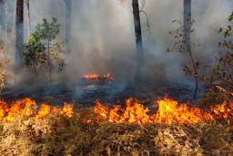 O presidente do PP alerta para semanas "exigentes" no combate aos incêndios em Espanha