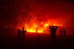 Incêndios na Europa e América do Norte aumentam, mas área queimada diminui