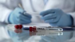 Ébola: Subiu para 1.887 número de mortos na RDCongo