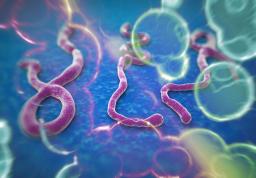 Ébola circulou quatro meses antes de epidemia ser declarada na RDCongo