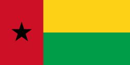Nova Constituição guineense fixa caução de 76 mil euros para candidatura à Presidência da República
