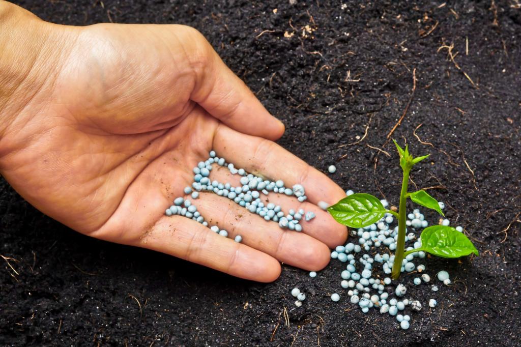 Mundo/
ONU alerta: Falta de fertilizantes pode deixar 45 milhões à fome