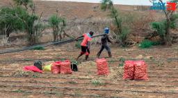 Maio: Obra da dessalinizadora de água para agricultura continua por concluir dois anos após lançamento
