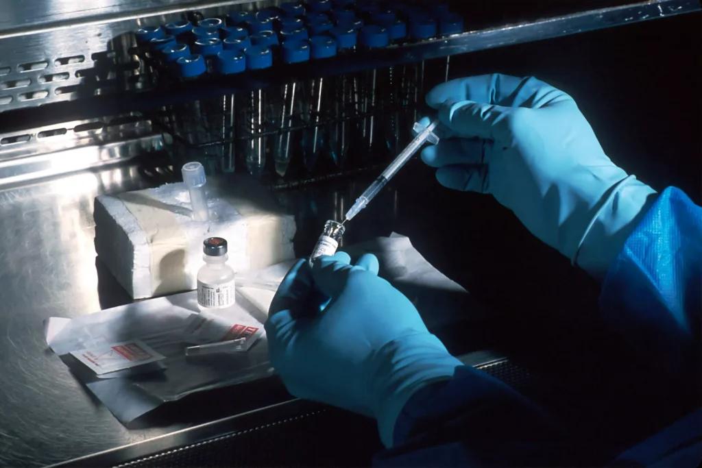 Cientistas Desenvolvem Vacina Contra Hantavírus