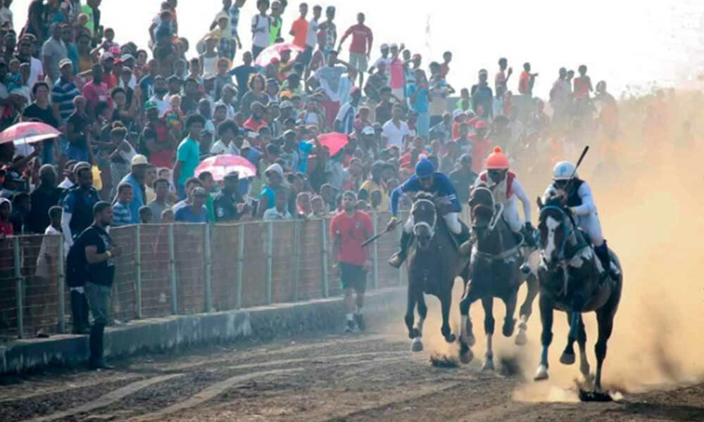 Corrida de Cavalos em Fogo: Onze Competidores em Disputa pelo Título