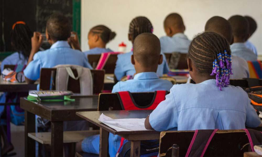 Novo regime para habilitação de professores