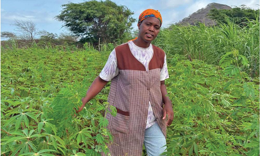 Sandra Tavares, mãos que ensinam e cultivam o futuro