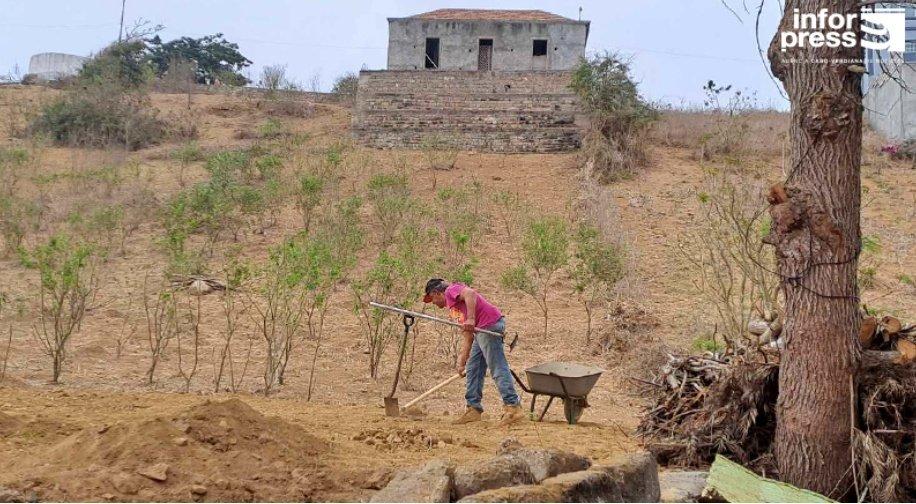 Brava: Agricultores apontam fraca produção de verduras devido à escassez de água