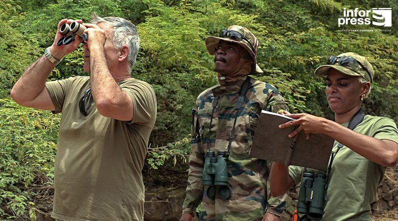 Associação defende coexistência e rejeita abate de macacos