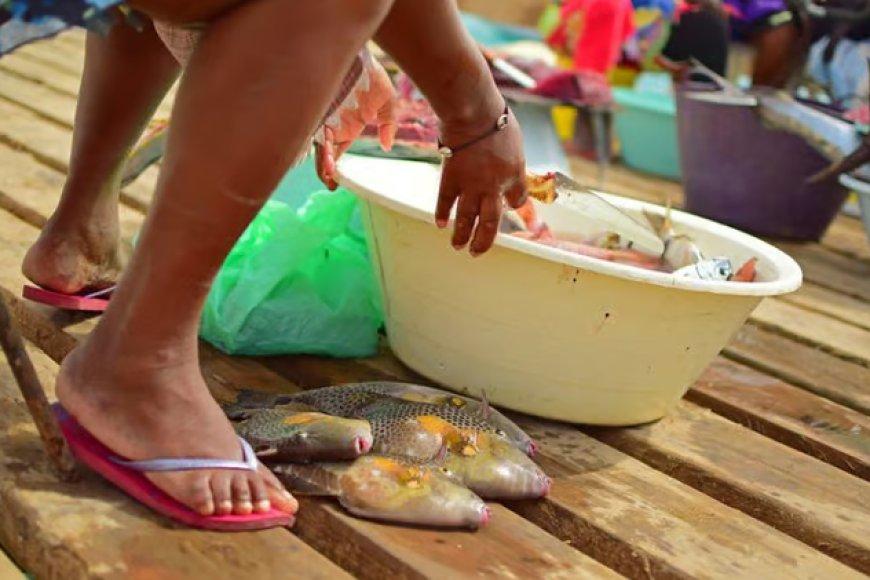 Segundo relatório do The Borgen Project, desigualdade salarial entre homens e mulheres continua a desafiar Cabo Verde