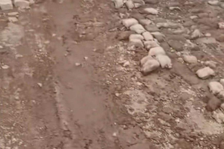 Pais e encarregados de educação de Cachaço temem pela segurança dos filhos devido ao mau estado da estrada para Nossa Senhora do Monte