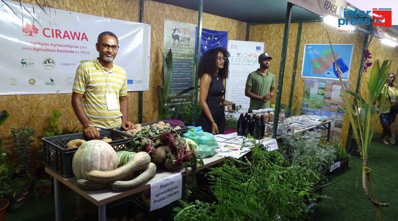 Produtores de Porto Novo Alertam para Falta de Mão de Obra na Agricultura