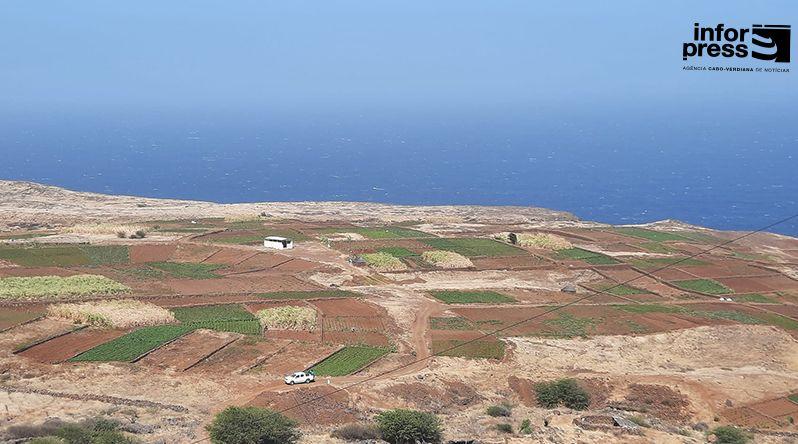 Porto Novo: Escassez de água pode obrigar agricultores de Chã de Norte a enveredar para cultivo de cana sacarina