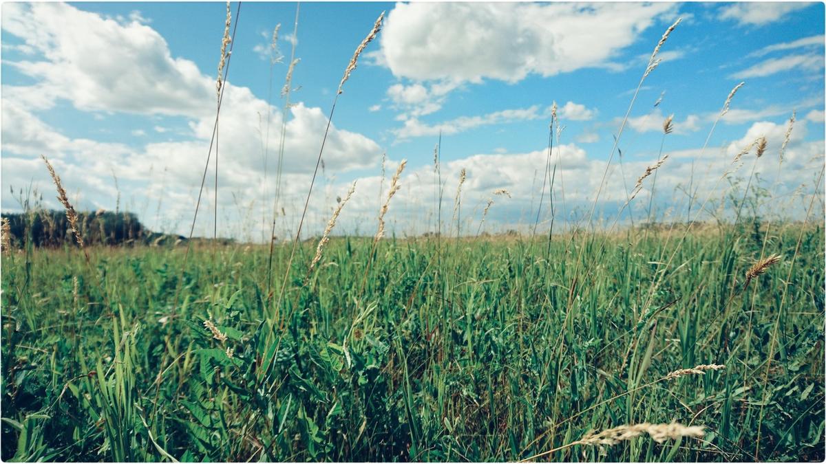 Cabo Verde: Ministério da Agricultura e Banco Mundial reforçam cooperação para impulsionar setor agrícola
