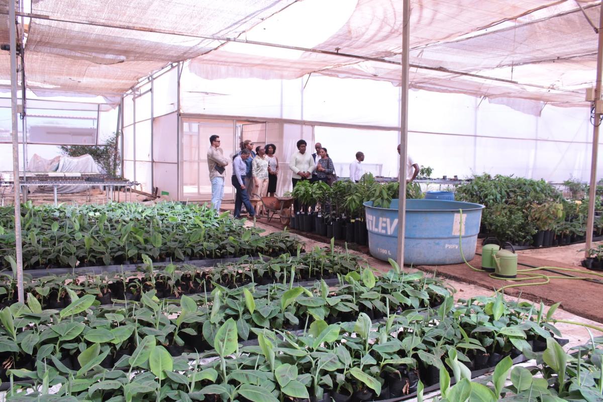 Novo governo de Cabo Verde aproxima-se das instituições agrícolas e ambientais