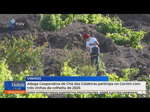 Adega Cooperativa de Chã das Caldeiras participa no Cervim com três vinhos da colheita de 2025