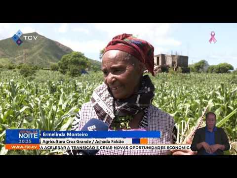 Agricultores de Santiago Norte mantêm esperança num bom ano agrícola