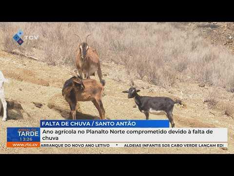 Ano agrícola no Planalto Norte comprometido devido à falta de chuva