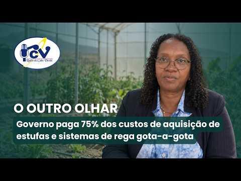 Governo paga 75% dos custos de aquisição de estufas e sistemas de rega gota-a-gota