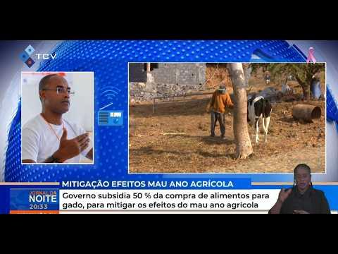 Governo subsidia 50 % da compra de alimentos para gado, para mitigar os efeitos do mau ano agrícola