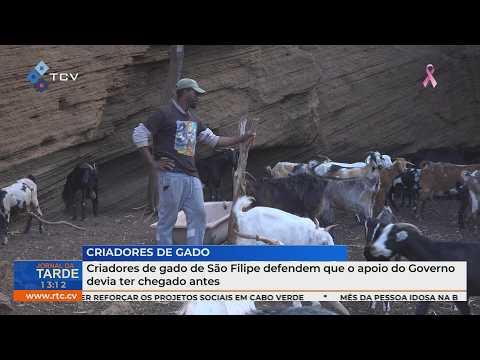 Criadores de gado de São Filipe defendem que o apoio do Governo devia ter chegado antes