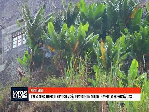 Porto Novo: Jovens agricultores pedem apoio do Governo na preparação das parcelas.