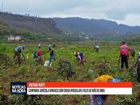 Campanha Agrícola Começa com Chuvas Irregulares e Falta de Mão de Obra