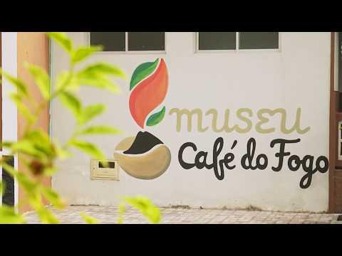 Dia Mundial da Diversidade Cultural: Cidadãos refletem sobre o significado da diversidade cultural.