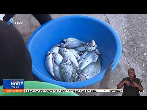 Porto Novo: Assoc Pescadores e Peixeiras preocupada com a inoperacionalização do Mercado de Peixe