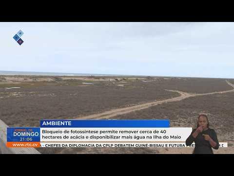 Bloqueio da fotossíntese permite remover 40 hectares de acácia e disponibilizar mais água no Maio
