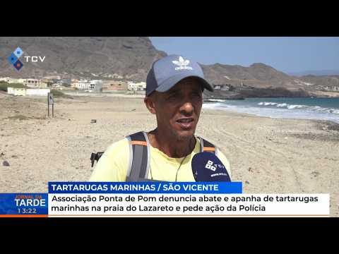 Associação Ponta de Pom denuncia abate e apanha de tartarugas marinhas na praia do Lazareto