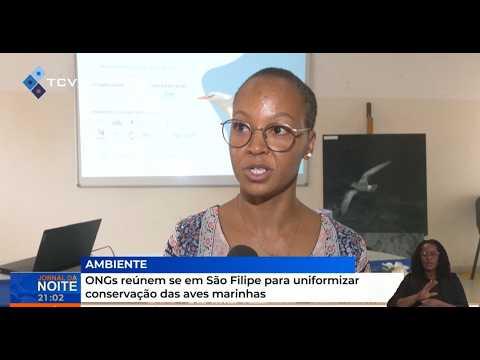 ONGs reúnem se em São Filipe para uniformizar conservação das aves marinhas