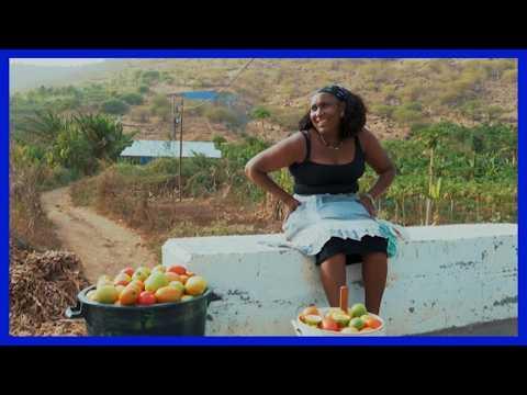 GRANDE REPORTAGEM: Sementes de Resiliência: Sobrevivendo à Seca em Cabo Verde e São Tomé e Príncipe