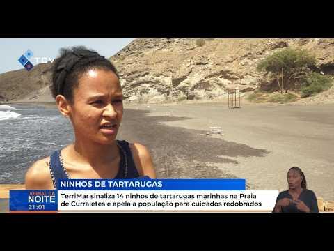 TerriMar sinaliza 14 ninhos de tartarugas marinhas na Praia de Curraletes