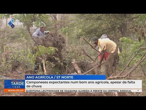 Camponeses expectantes num bom ano agrícola, apesar da falta de chuva