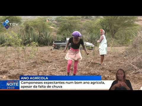 Camponeses expectantes num bom ano agrícola, apesar da falta de chuva