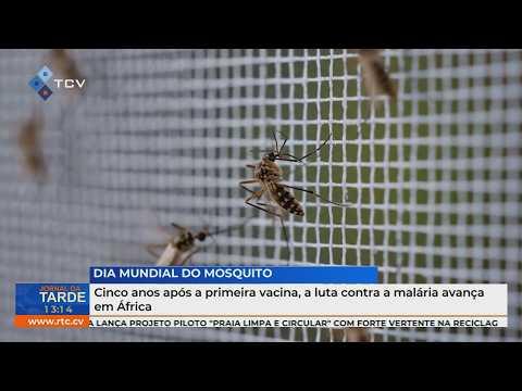 Cinco anos após a primeira vacina, a luta contra a malária avança em África