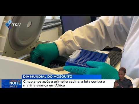 Cinco anos após a primeira vacina, a luta contra a malária avança em África