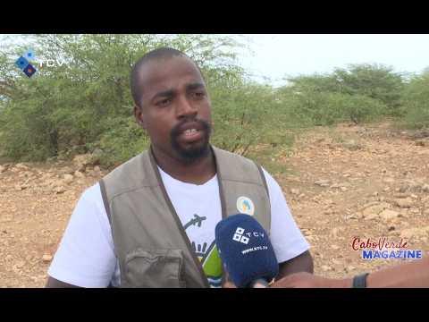 Cabo Verde Magazine com a jornalista Leylla Reis - 17 Agosto de 2026