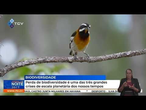 Perda de biodiversidade é uma das três grandes crises de escala planetária dos nossos tempos