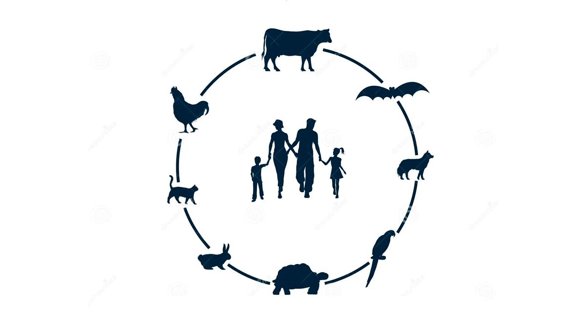 Técnicos da saúde humana, animal e ambiental reunidos em workshop sobre doenças zoonóticas
